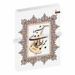 شیوه بربط نوازی - منصور نریمان - سروش