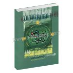 نغمه های آناتولی - ترانه های شرقی برای ویولن - مهدی توپچی - نای و نی